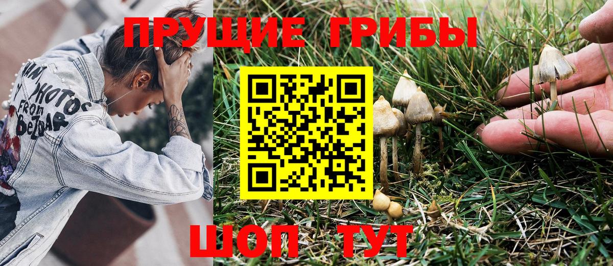 Галлюциногенные грибы MAGIC MUSHROOMS Ликино-Дулёво