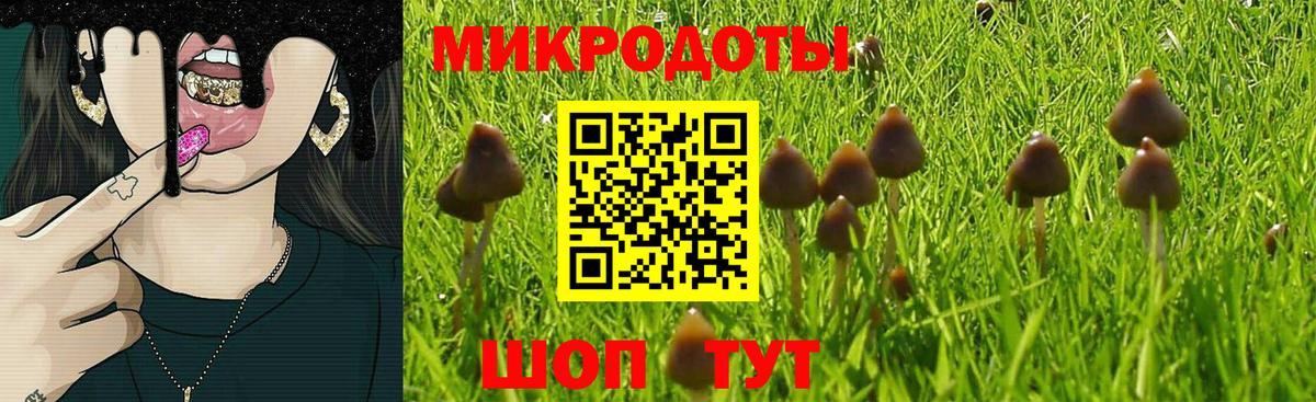 Галлюциногенные грибы ЛСД  Галлюциногенные грибы GOLDEN TEACHER  Вход с VPN  Ликино-Дулёво 